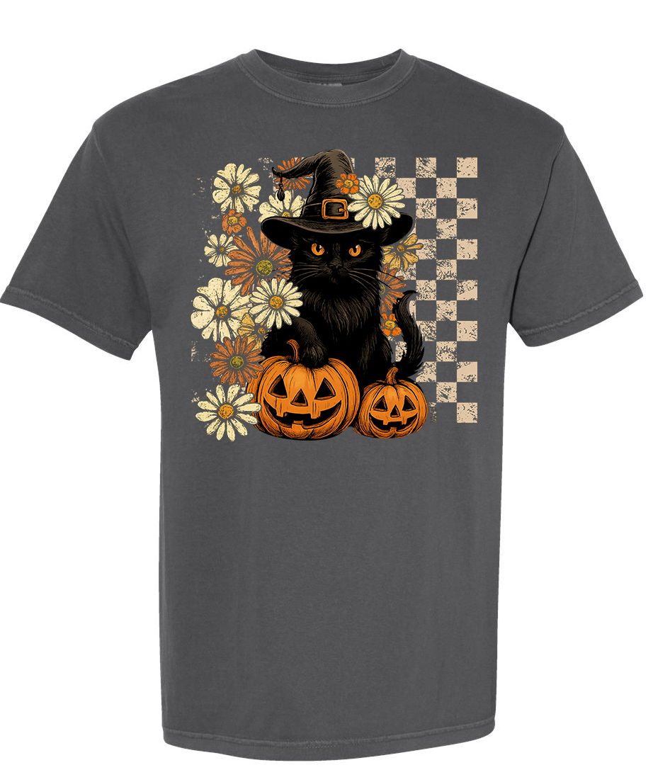 Black Cat And Pumpkins
