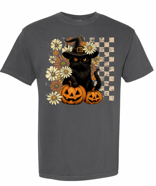 Black Cat And Pumpkins