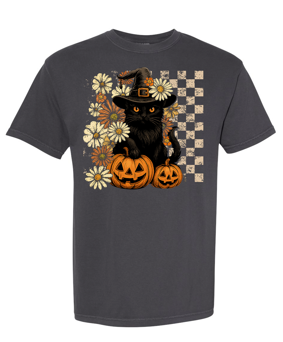 Black Cat And Pumpkins