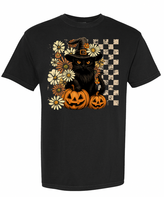 Black Cat And Pumpkins