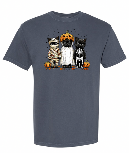Halloween Kitty Shirt