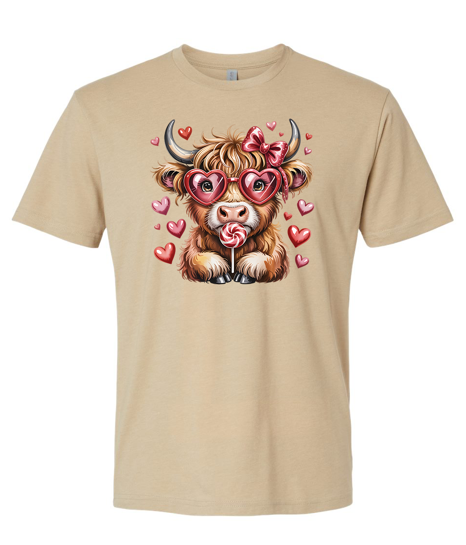 A charming fluffy Highland cow