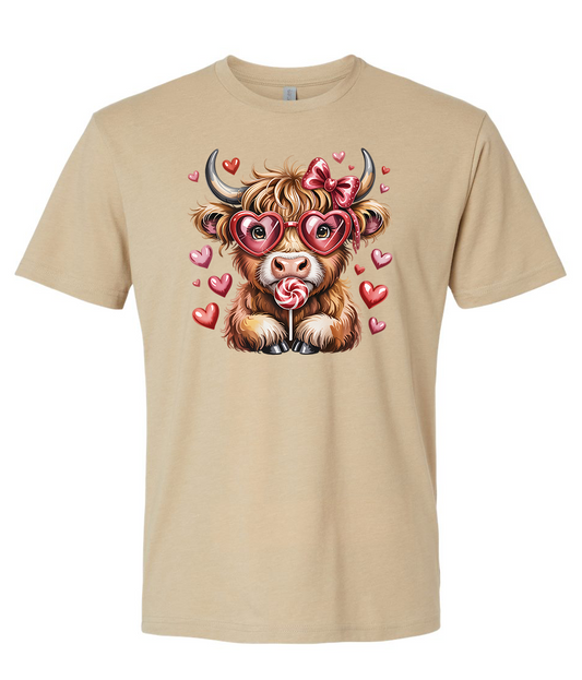 A charming fluffy Highland cow