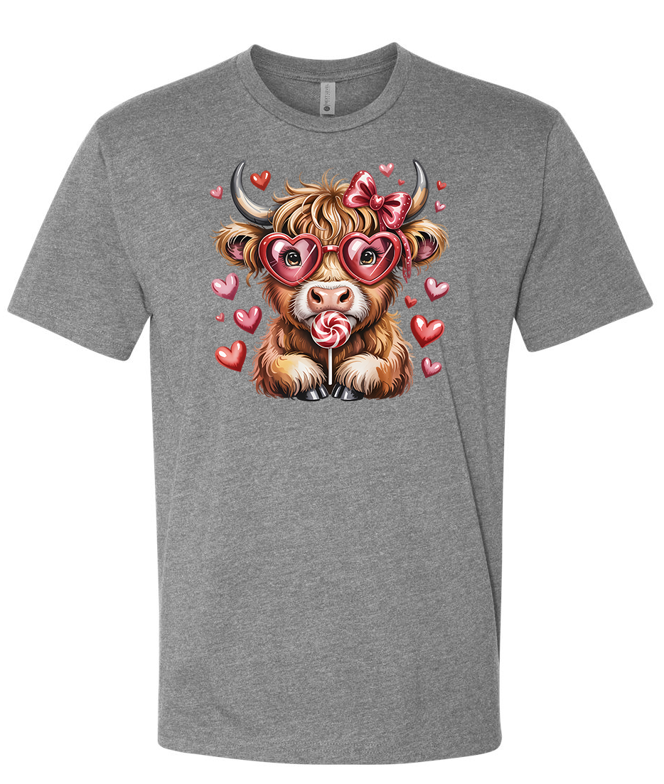 A charming fluffy Highland cow