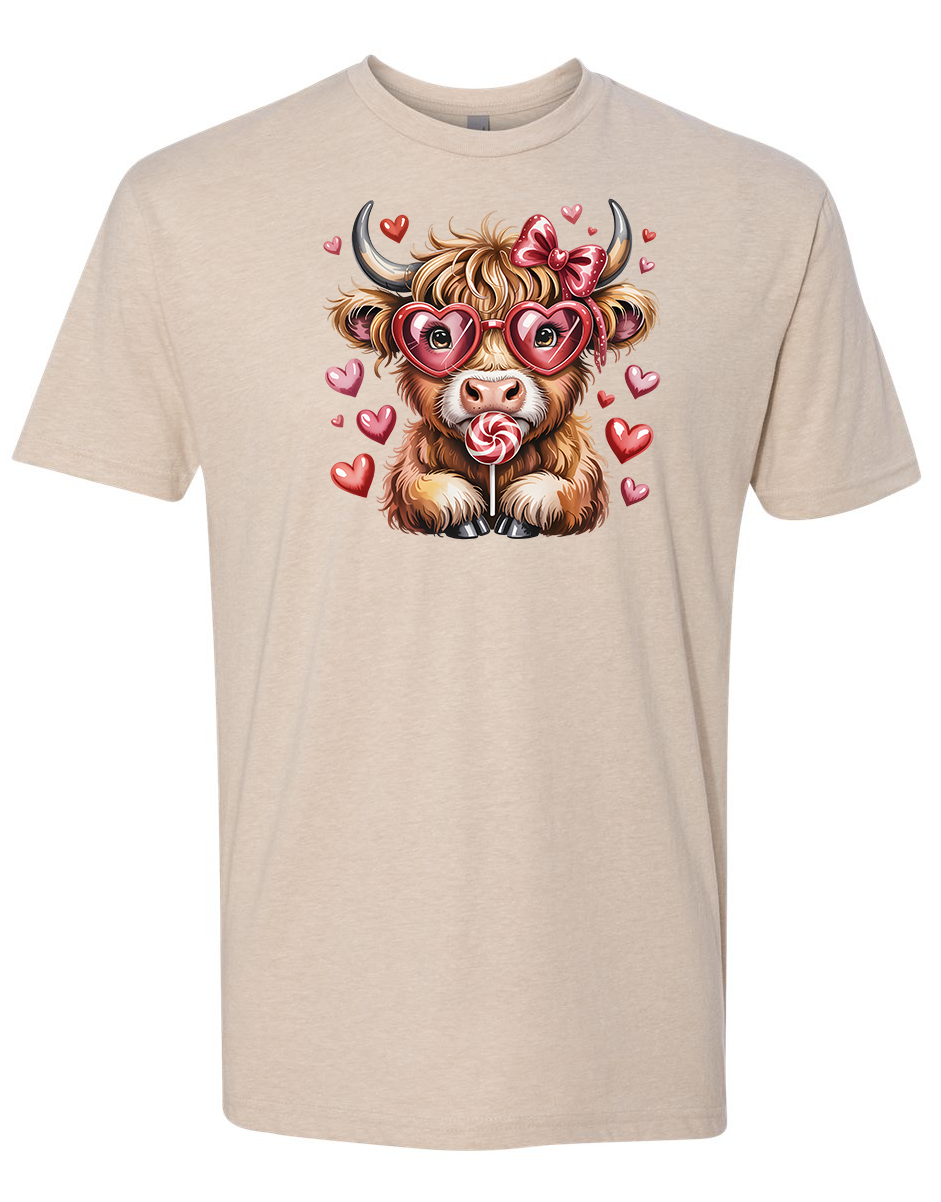 A charming fluffy Highland cow