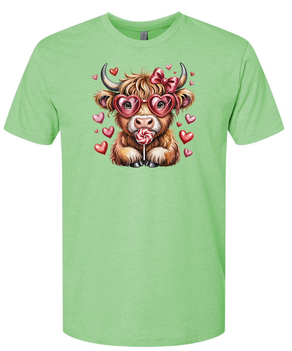 A charming fluffy Highland cow