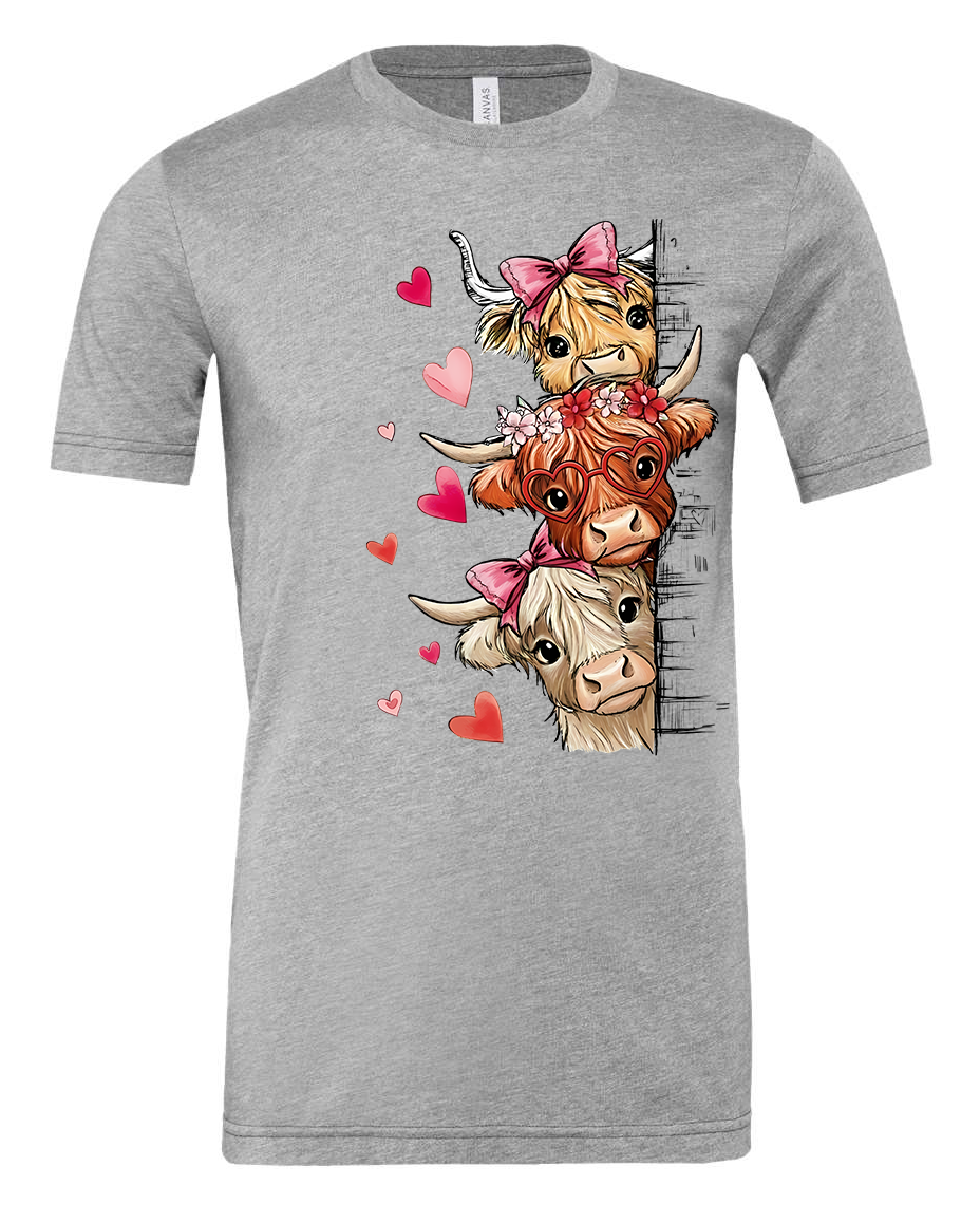 Valentines fluffy Highland cows