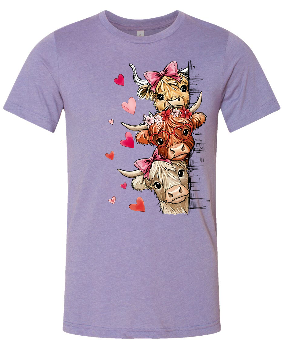 Valentines fluffy Highland cows