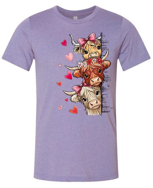 Valentines fluffy Highland cows