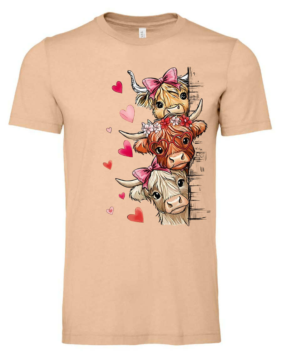 Valentines fluffy Highland cows