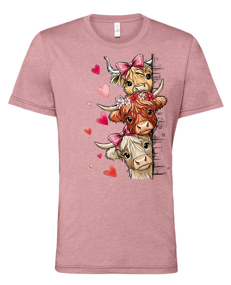 Valentines fluffy Highland cows