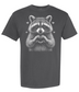 Raccoon Love
