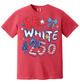 Red White & 250 Anniversary Doodle Shirt
