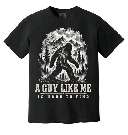 A Guy Like Me Is Hard To Find