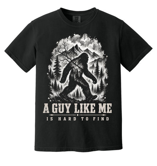 A Guy Like Me Is Hard To Find