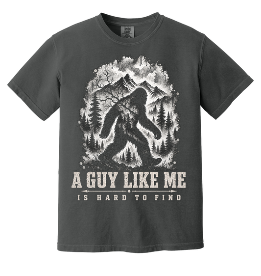 A Guy Like Me Is Hard To Find
